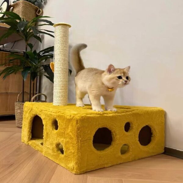 cheese shaped cat house with scr (7)