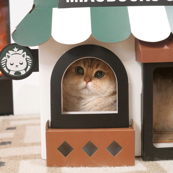 café cardboard cat house 1