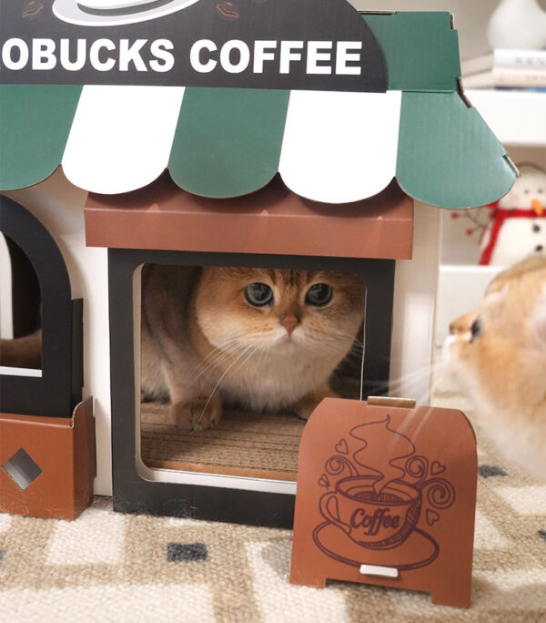 café cardboard cat house 6