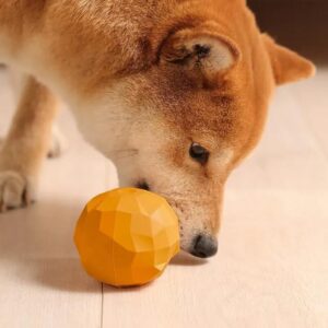 fruit shaped freezable cooling dog treat toy set 5043