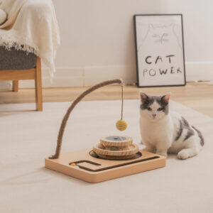 record player cat toy 11