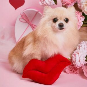 lip design plush dog chew toy 11