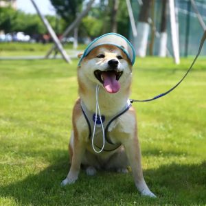 adjustable baseball cap for small & medium dogs 11