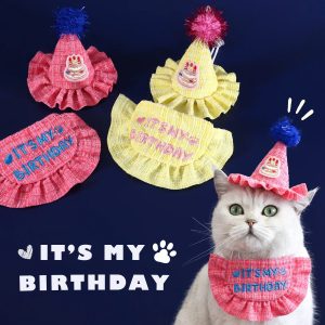 birthday party embroidery lace bib & hat for pets 11 birthday party embroidery lace bib & hat for pets 11