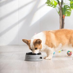 vehicle travel carried no spill dog water bowl with floating disk 11 vehicle travel carried no spill dog water bowl with floating disk 11