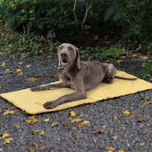 foldable waterproof portable dog camping mat 11 foldable waterproof portable dog camping mat 11