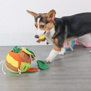 squeaky leaf ball dog treat dispenser toy 11 squeaky leaf ball dog treat dispenser toy 11