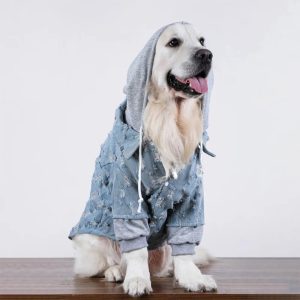 handsome ripped denim dog hoodie jacket 11