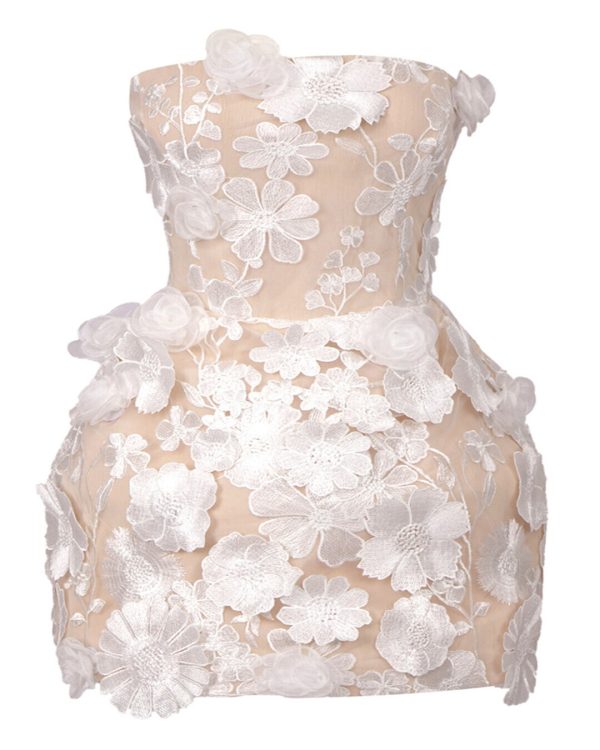 adina 3d floral lace embellished mini dress 14