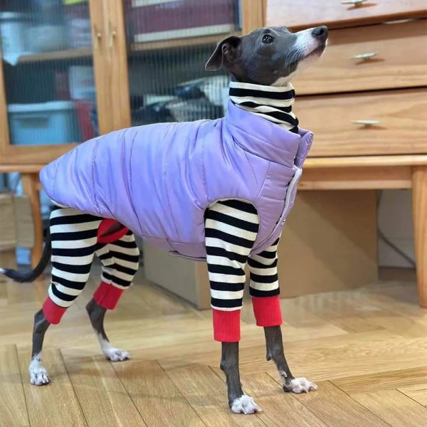 lightweight warm thick turtleneck down padded dog vest 12