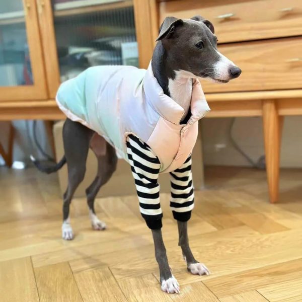 lightweight warm thick turtleneck down padded dog vest 19