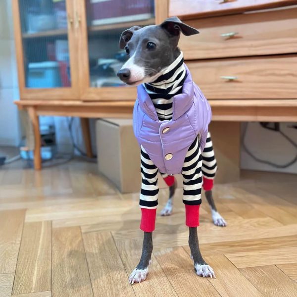 lightweight warm thick turtleneck down padded dog vest 21