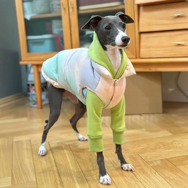 lightweight warm thick turtleneck down padded dog vest 23