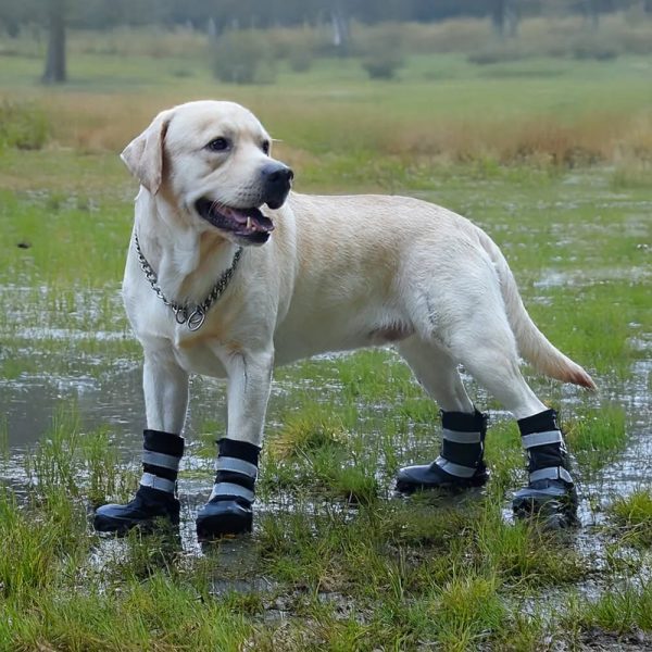 outdoor waterproof warm durable reflective dog boots 12