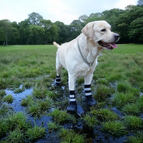 outdoor waterproof warm durable reflective dog boots 22