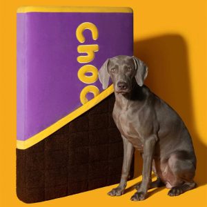 chocolate bar shaped orthopedic support washable dog & cat bed 11