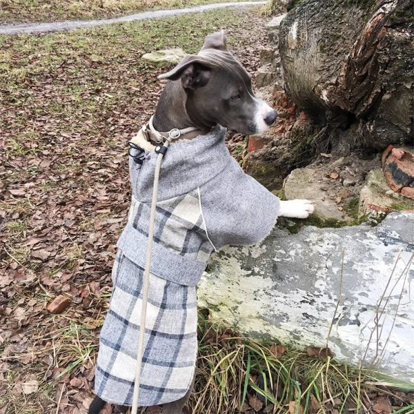 warm fleece plaid adjustable turtleneck dog jacket 19