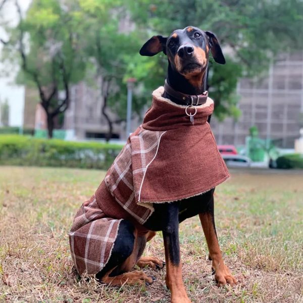 warm fleece plaid adjustable turtleneck dog jacket 29