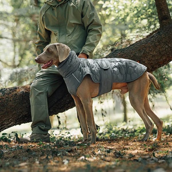quilted outdoor dog vest warm & durable for hiking & adventures 12