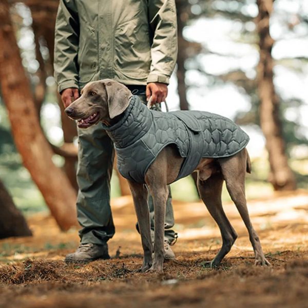 quilted outdoor dog vest warm & durable for hiking & adventures 14