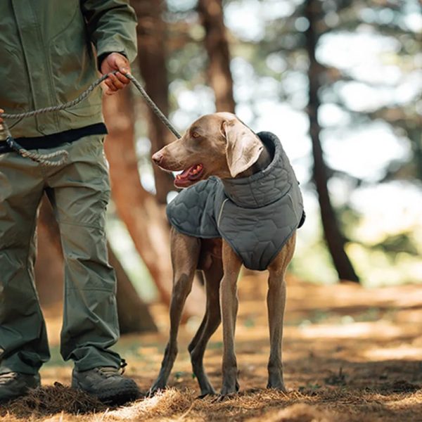 quilted outdoor dog vest warm & durable for hiking & adventures 15