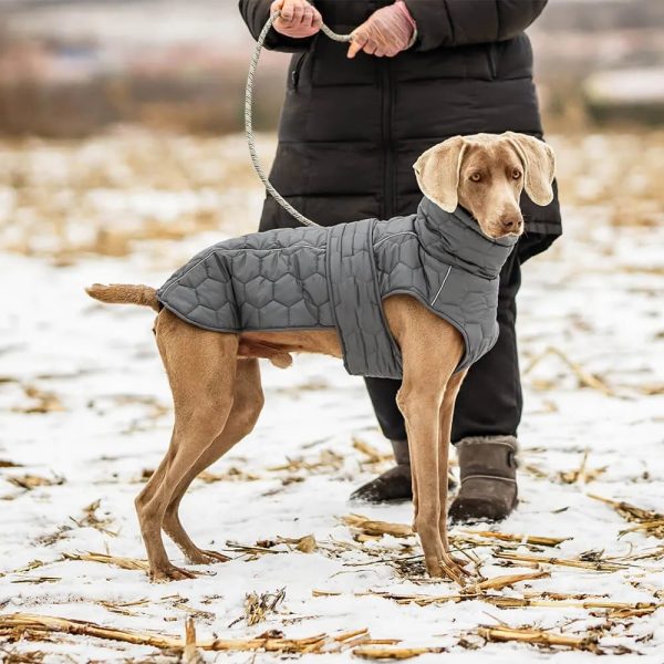 quilted outdoor dog vest warm & durable for hiking & adventures 17