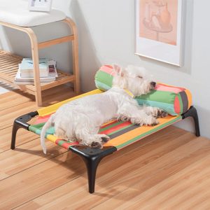 rainbow striped elevated pet bed with pillow 11 rainbow striped elevated pet bed with pillow 11