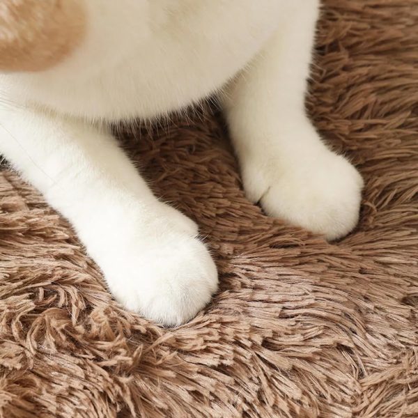 soft plush anti slip fluffy dog & cat rug mat 15