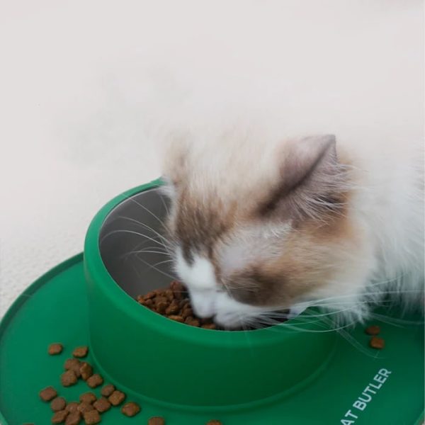 anti rollover cat bowl 15