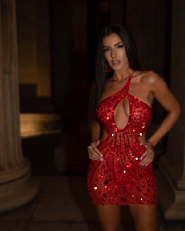 gianni backless rhinestone mesh mini dress in red 20