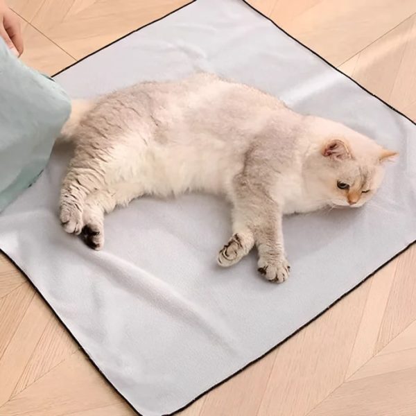 purrito cat wrap 13