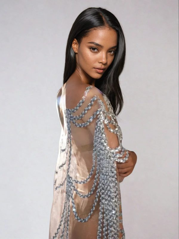 clarrisa sequin embellished maxi dress in silver 4