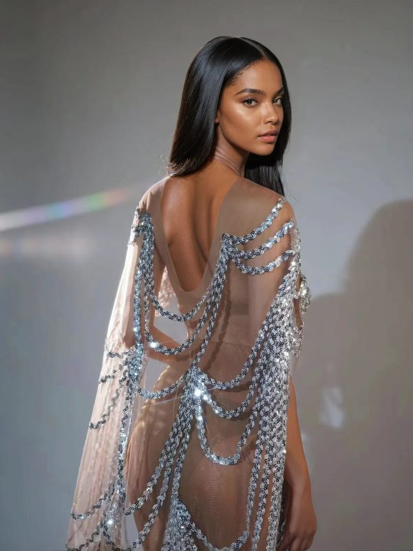 clarrisa sequin embellished maxi dress in silver 5
