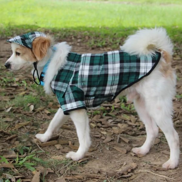 plaid oxford sun protection adjustable dog hat & coat set 13