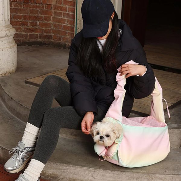 colorful fashion pu leather waterproof portable pet carrier bag 12