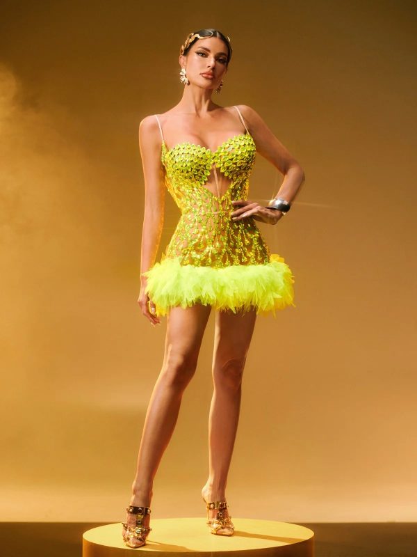 luminara rhinesone tulle trimmed mini dress 14