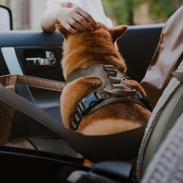 waterproof scratch resistant foldable portable front seat dog travel mat 15
