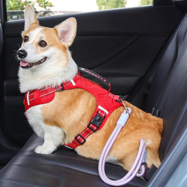 anti pull nylon dog car seat safety belt 16