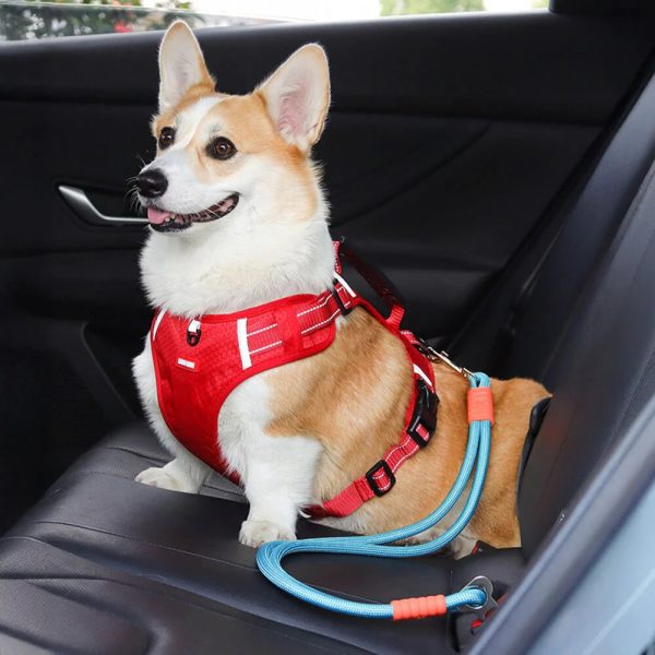 anti pull nylon dog car seat safety belt 17
