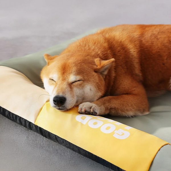 colorblock waterproof scratch resistant all season dog mat 12