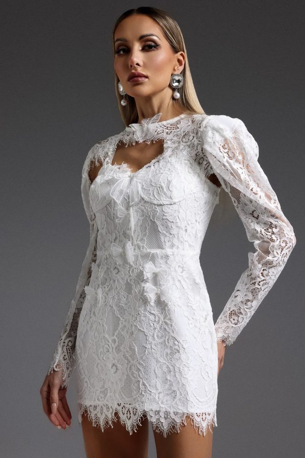 olga lace floral mini dress 14