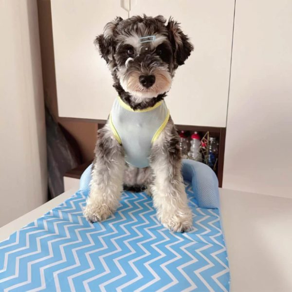 scratch resistant waterproof breathable neck support dog bed 13