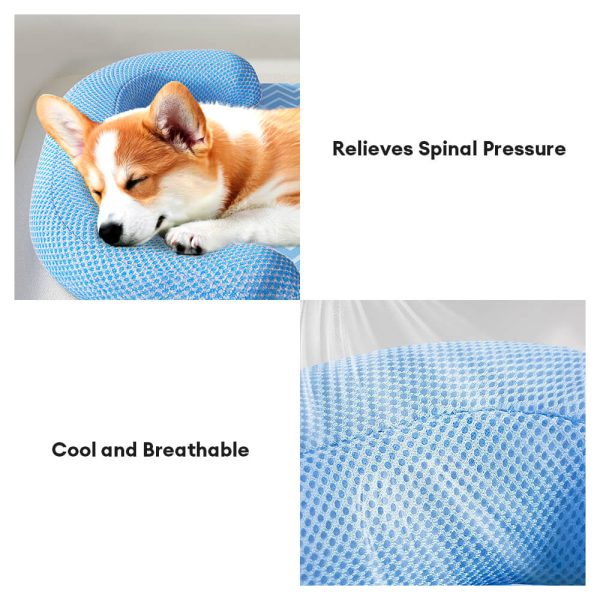 scratch resistant waterproof breathable neck support dog bed 18