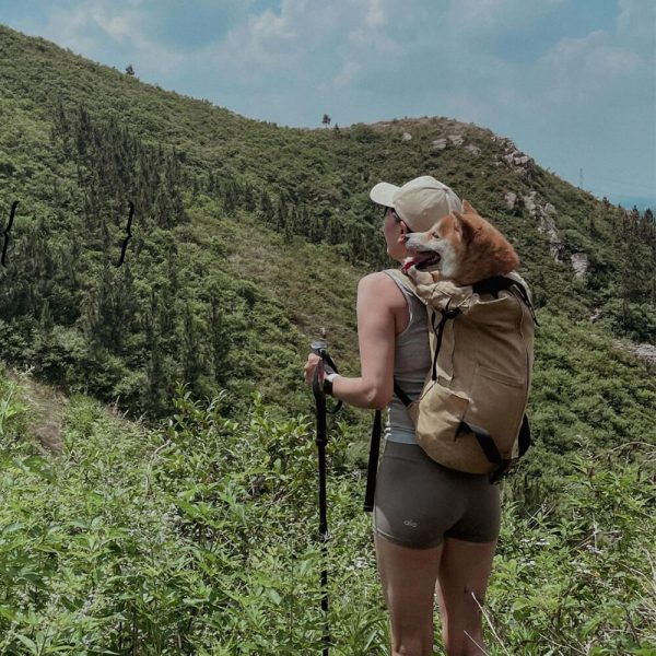 ventilated & durable outdoor hiking dog carrier bag 14