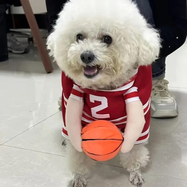 adorable dog basketball player costume 13