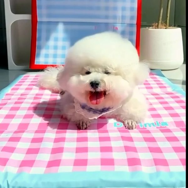 double sided waterproof pet mat 13