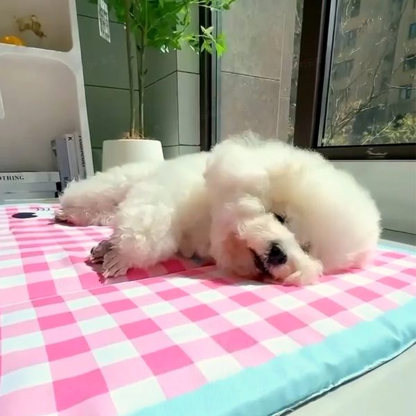 double sided waterproof pet mat 14