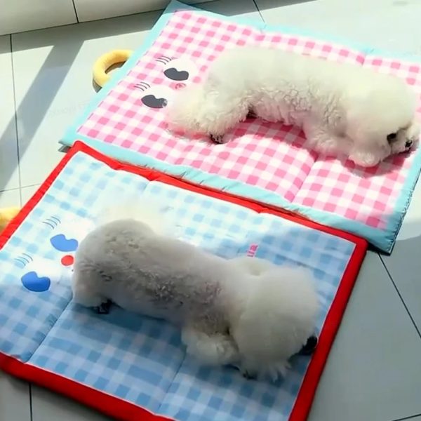 double sided waterproof pet mat 15