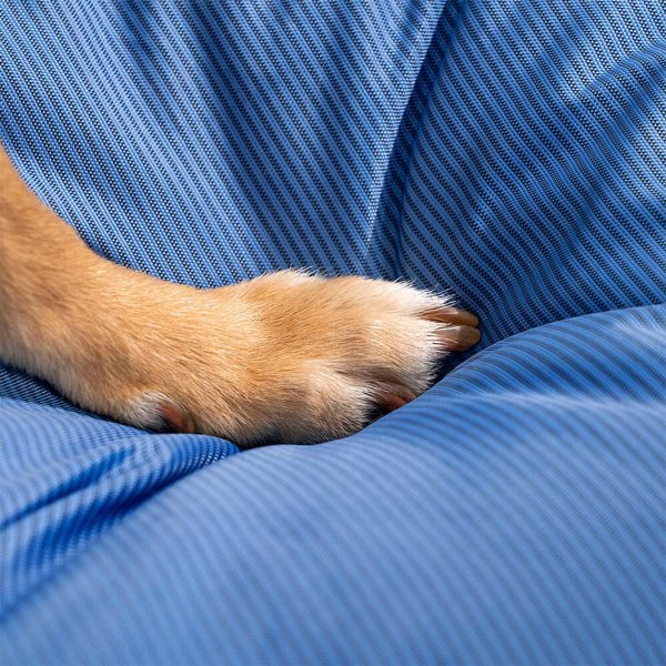 fully orthopedic surround support waterproof large dog bed 18