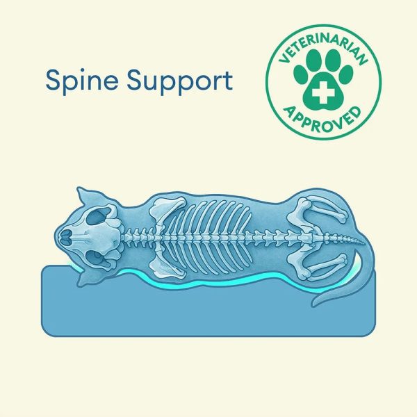 fully orthopedic surround support waterproof large dog bed 28
